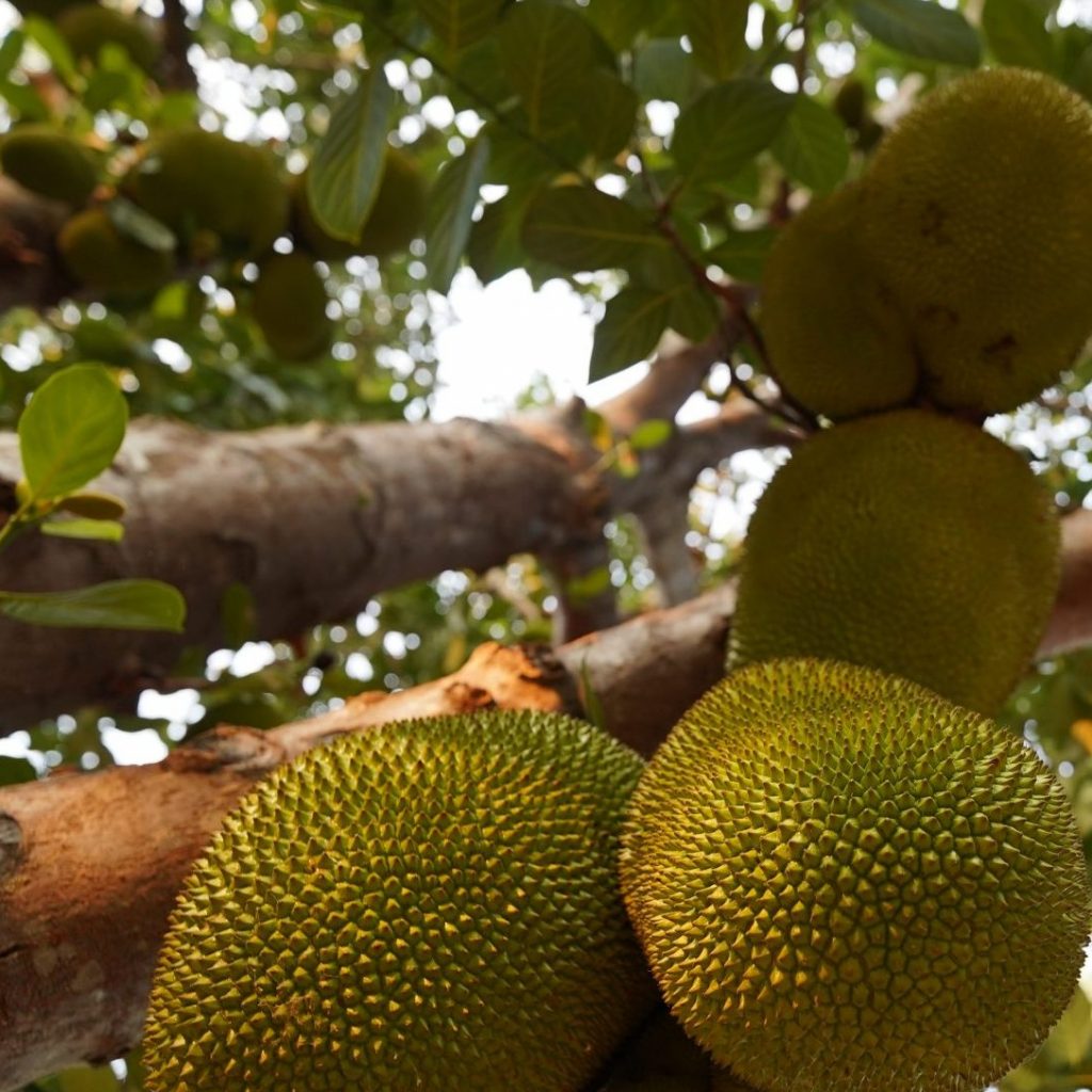 Retreat Center In India